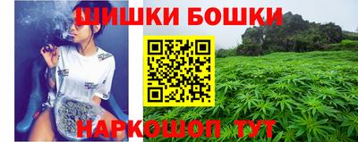 прущие грибы Будённовск