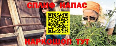 прущие грибы Будённовск