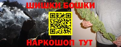 прущие грибы Будённовск