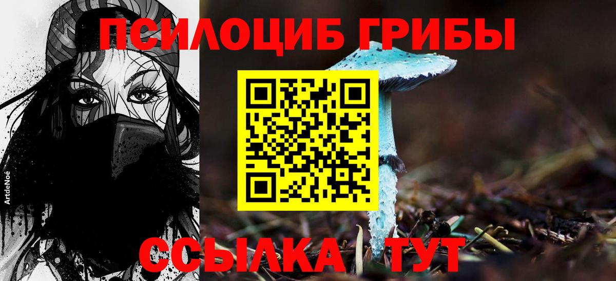 Псилоцибиновые грибы Psilocybe  Вход с VPN  Дюртюли 